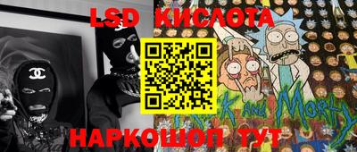PSILOCYBIN Бугуруслан