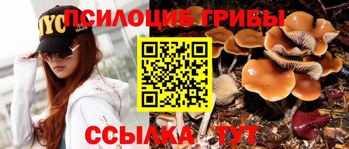 Галлюциногенные грибы Cubensis  где продают наркотики  Иркутск  Галлюциногенные грибы Cubensis  Вход с VPN 