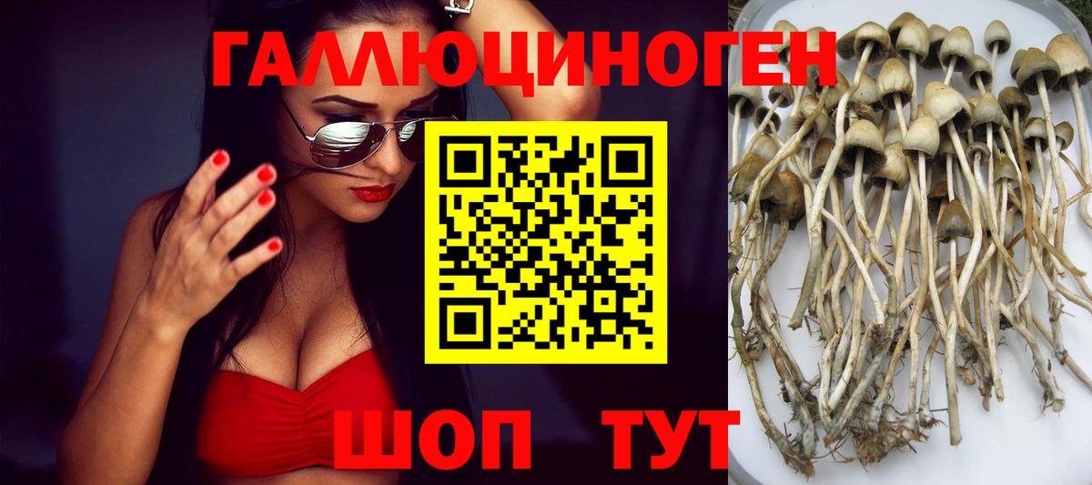Галлюциногенные грибы мицелий Иркутск
